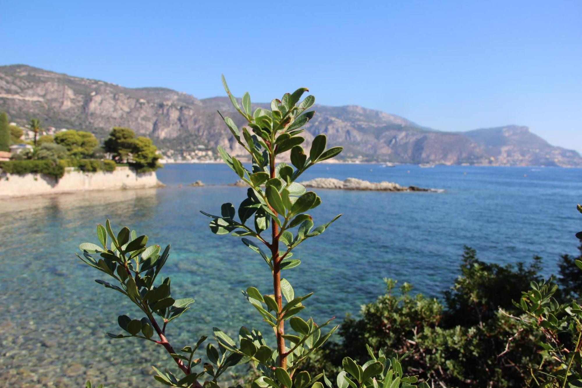 Hotel La Villa Patricia - Charme Et Tradition Villefranche-sur-Mer Eksteriør billede