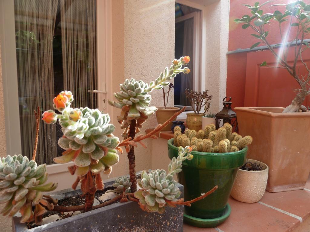 Hotel La Villa Patricia - Charme Et Tradition Villefranche-sur-Mer Eksteriør billede