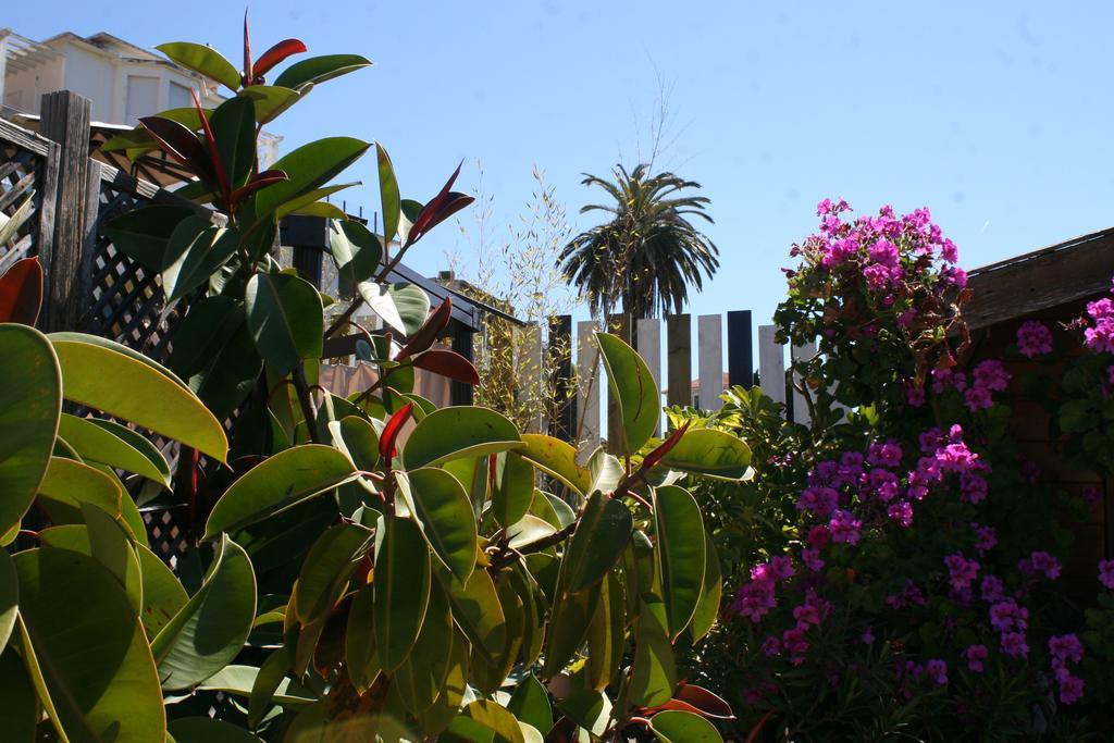 Hotel La Villa Patricia - Charme Et Tradition Villefranche-sur-Mer Eksteriør billede